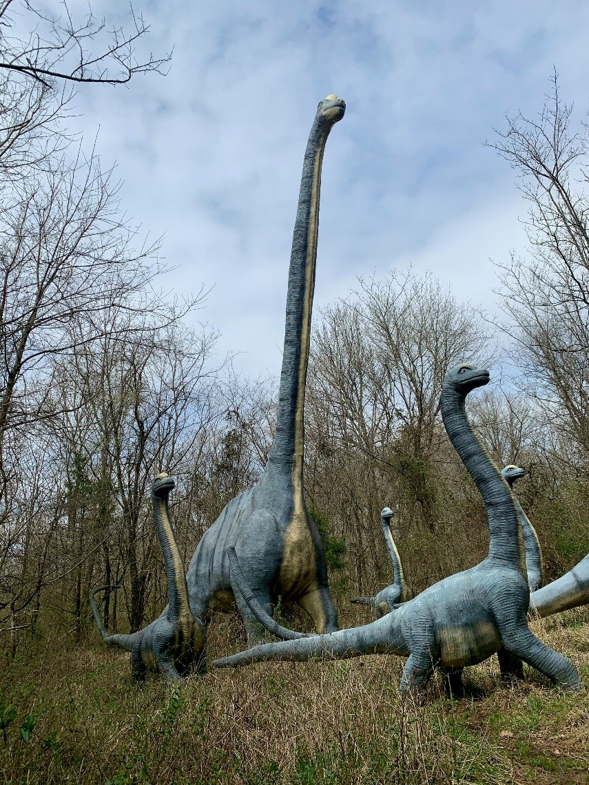 Several long-necked animatronic dinosaurs in a forest.